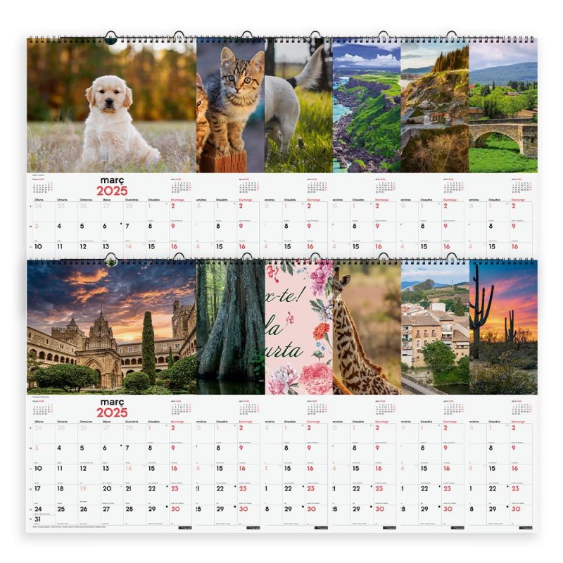 2025-CALENDARI PARET ESPIRAL 25X40 IMATGES SU